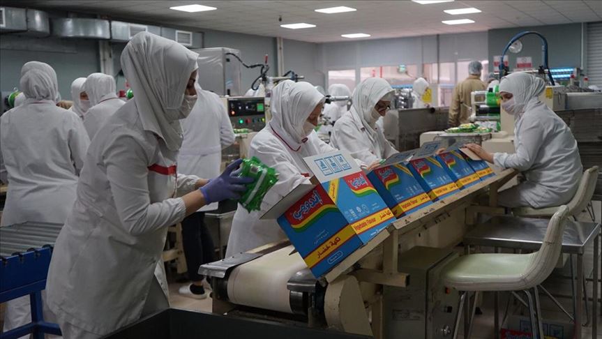 Produksi produk indomie (Kementerian Perdagangan - Anadolu Agency)