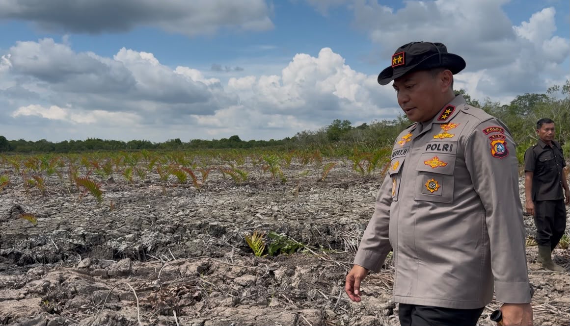 Kapolda Riau Irjen Pol Herry Heryawan terjun kerusakan fatal ekosistem mangrove di Kabupaten Rokan Hilir (Rohil), Jumat (24/7/2026)